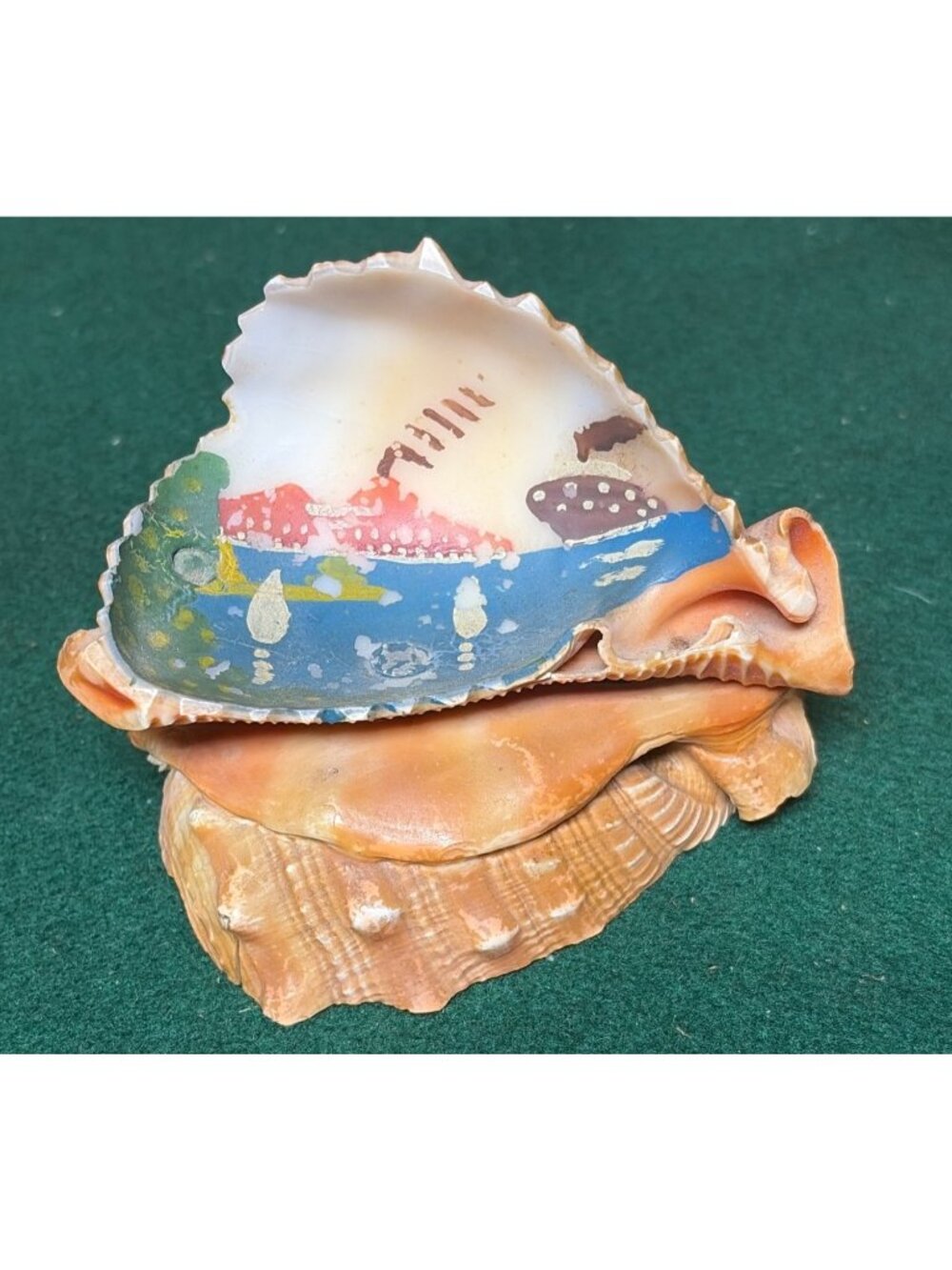 Hand-Painted Vintage Conch Shell Souvenir Coastal Nautical Landscape Scene